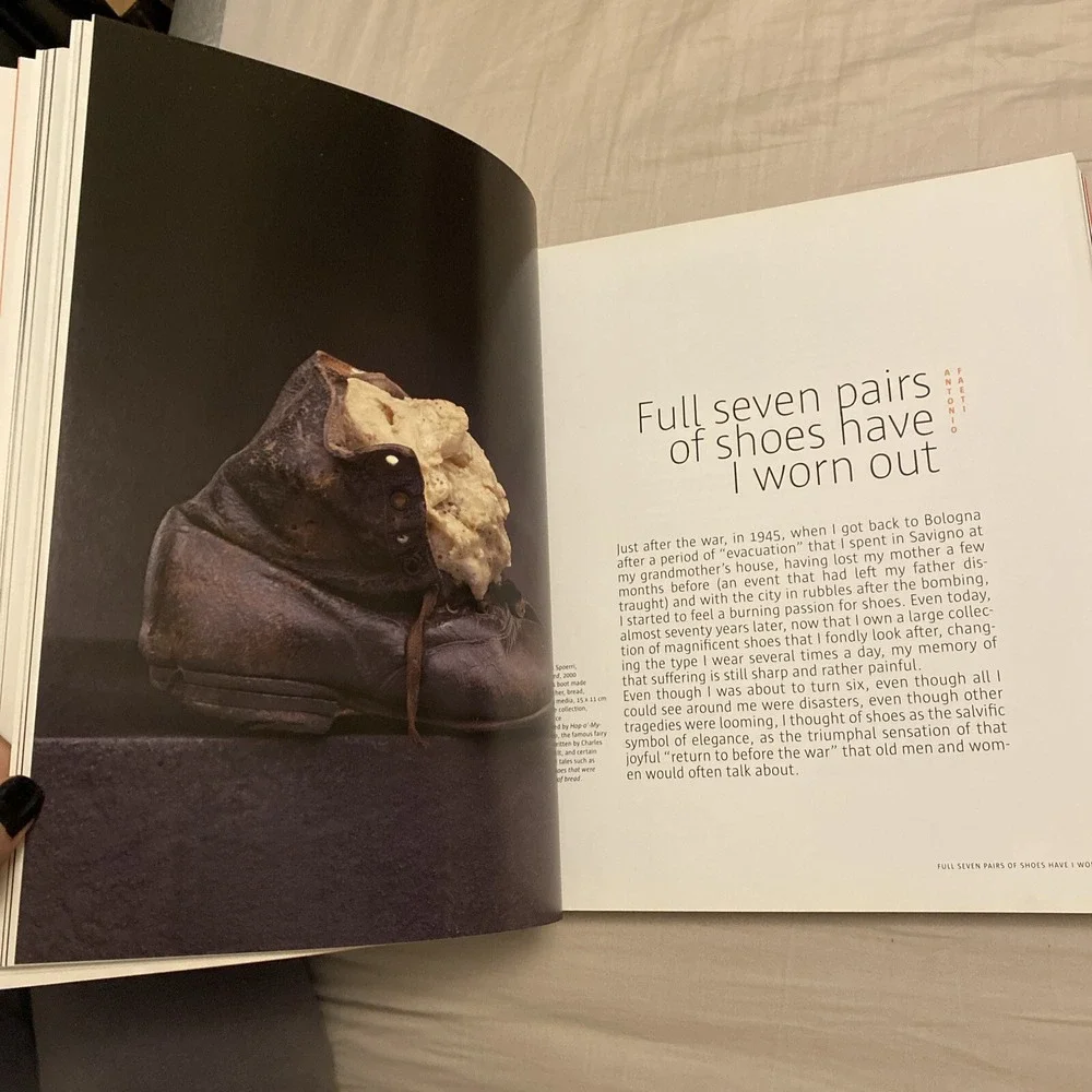THE AMAZING SHOEMAKER:FAIRY TALES&LEGENDS ABOUT SHOES Stefania Ricci S.Ferragamo